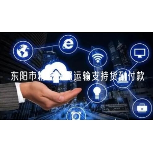 东阳市精密仪器运输支持货到付款