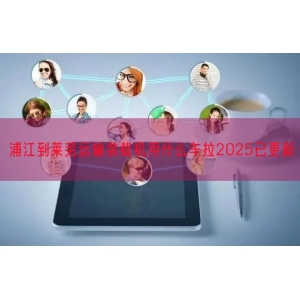 浦江到莱芜运输装载机用什么车拉2025已更新