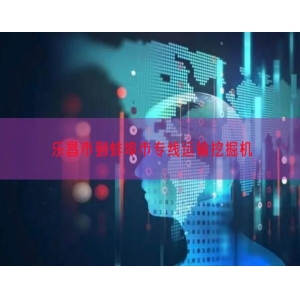 乐昌市到蚌埠市专线运输挖掘机