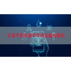 乐昌市到芜湖市专线运输挖掘机