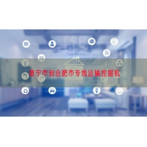普宁市到合肥市专线运输挖掘机